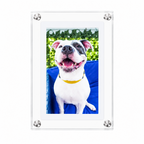 Clear-front digital photo frame held in hand, showing a dog portrait.