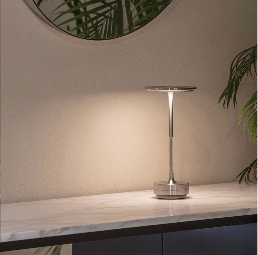 Silver rechargeable table lamp with glowing top on countertop beside plants