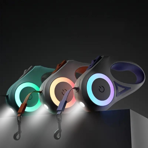 Light-up dog leash set with teal, orange, and purple LED rings and carabiner clip ends