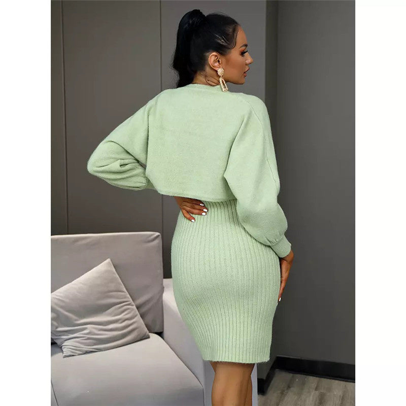 Mint green knit maternity sweater and ribbed bodycon dress set, back view
