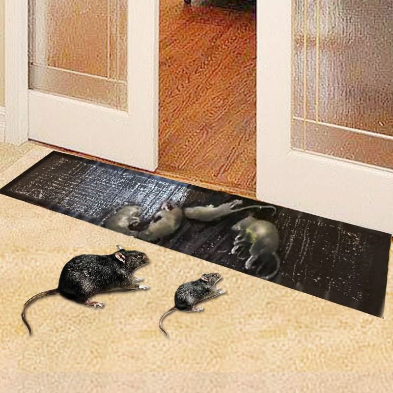 Black sticky glue trap mat on floor with mice standing on the adhesive surface