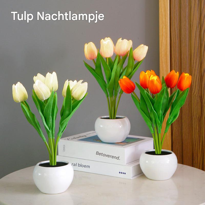 Tulip night light with mixed white and orange tulip blooms in a white ceramic pot