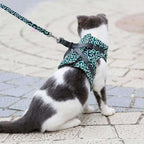 Cat mesh vest harness with patterned blue-green fabric and attached leash, on cat