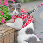 Cat mesh vest harness with red patterned fabric and attached leash, on stone ledge