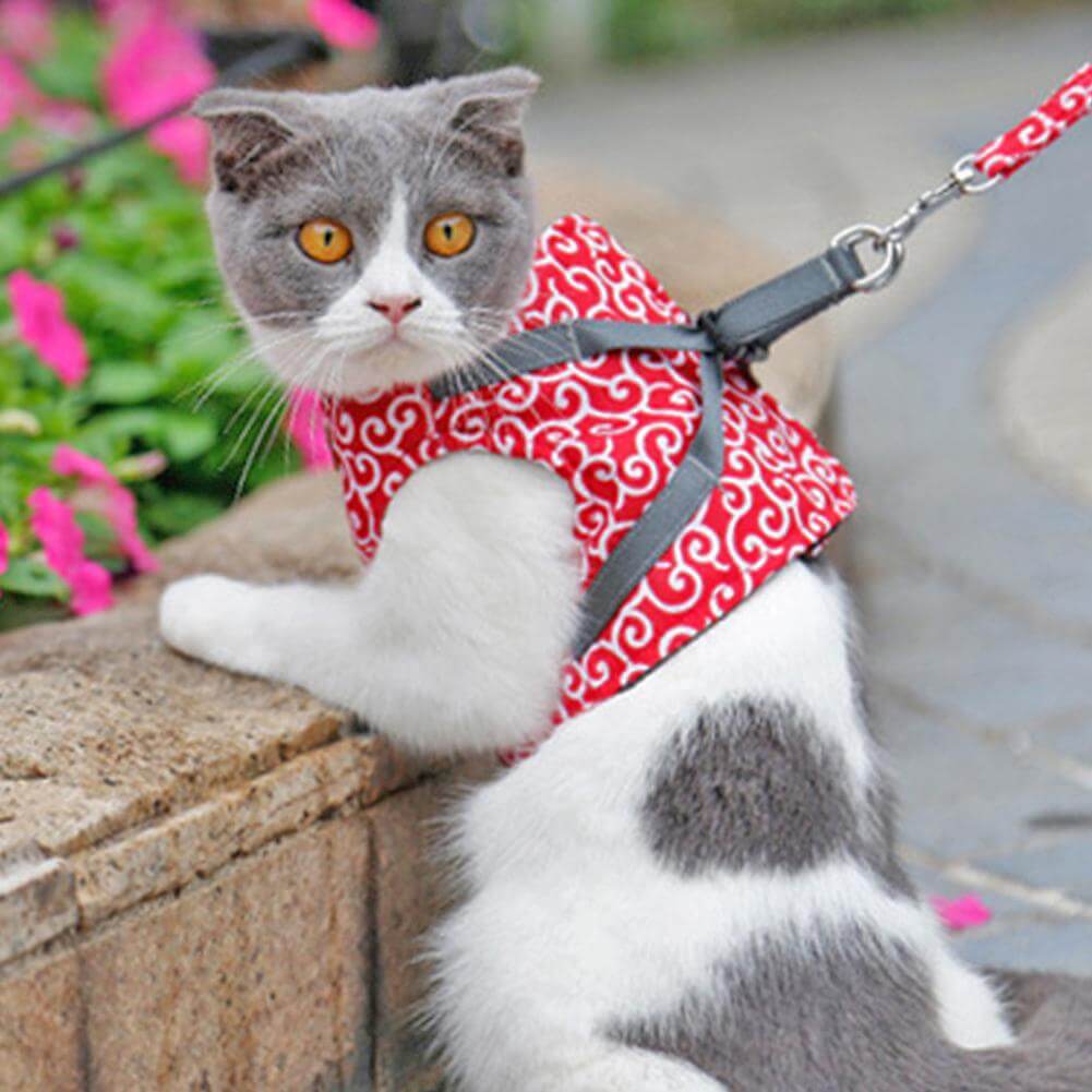Cat mesh vest harness with red patterned fabric and attached leash, on stone ledge
