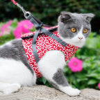Cat mesh vest harness with quick-release leash, red with gray straps, on a gray-and-white cat