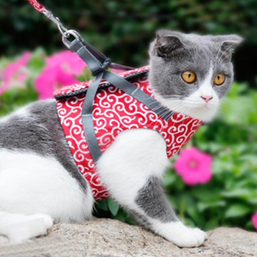 Cat mesh vest harness with quick-release leash, red with gray straps, on a gray-and-white cat