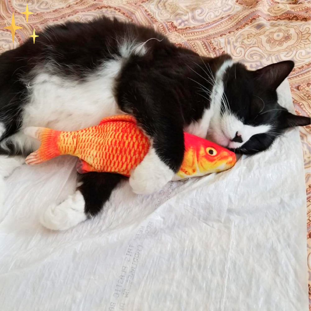 Orange plush fish toy with yellow scales, black-and-white cat biting and cuddling