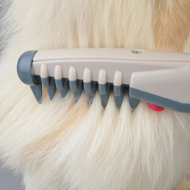 Pet grooming trimmer head shaving along light fur with comb teeth