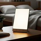 Slim LED daylight lamp with illuminated rectangular panel and touch buttons on base