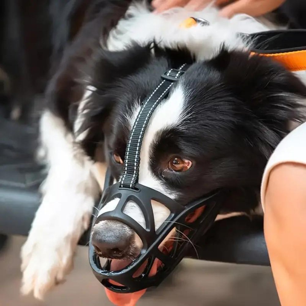 Black mesh dog muzzle worn on dog with adjustable strap under chin