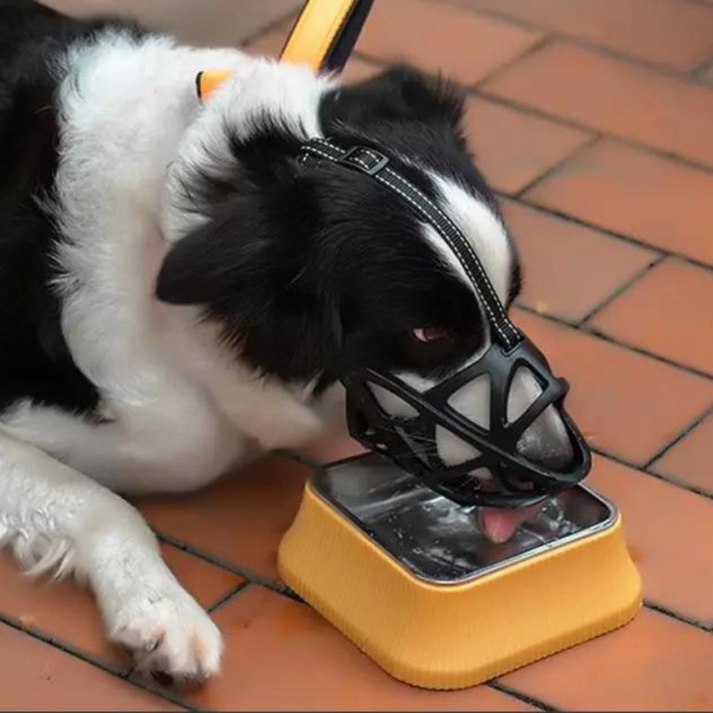 Black mesh muzzle on dog resting on a yellow cushion-style mat