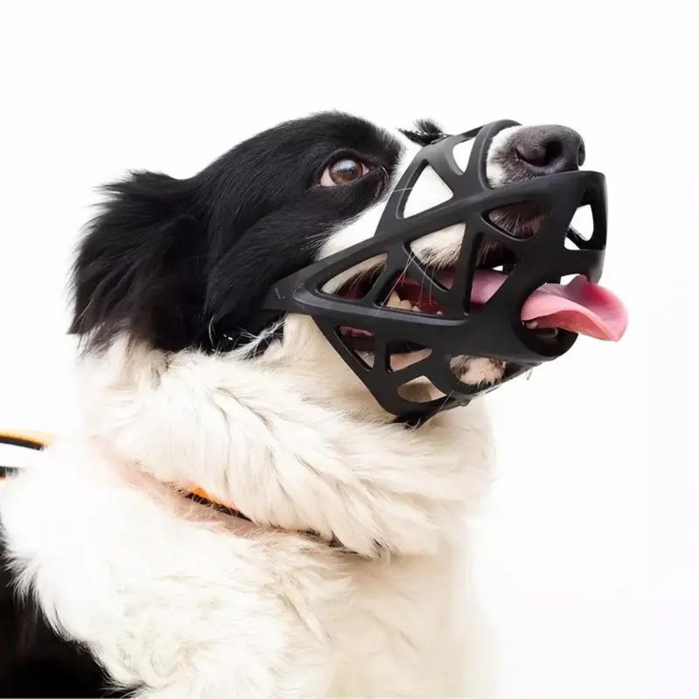 Black breathable mesh dog muzzle with triangular cutouts and adjustable straps
