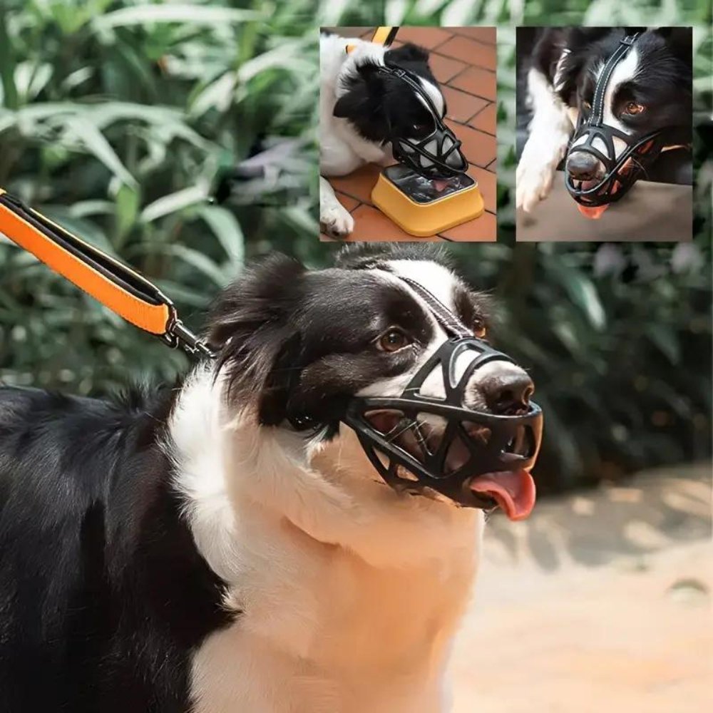 Black mesh dog muzzle on dog during walk, with adjustable fit straps