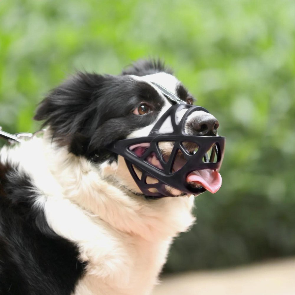 Black breathable mesh dog muzzle with open front and adjustable neck strap