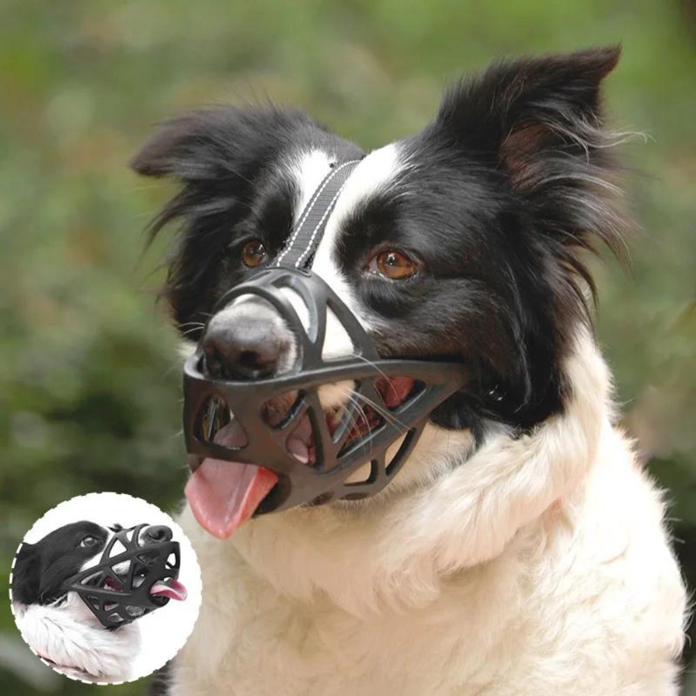 Black basket-style mesh dog muzzle with nose opening and adjustable head straps