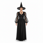 Women's Black Spiderweb Sleeve Witch Dress and Hat Halloween Costume